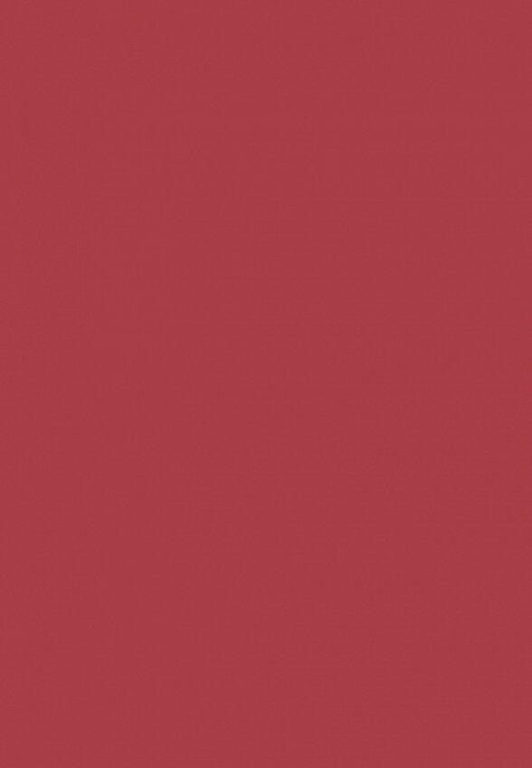 Румяна Arive Makeup