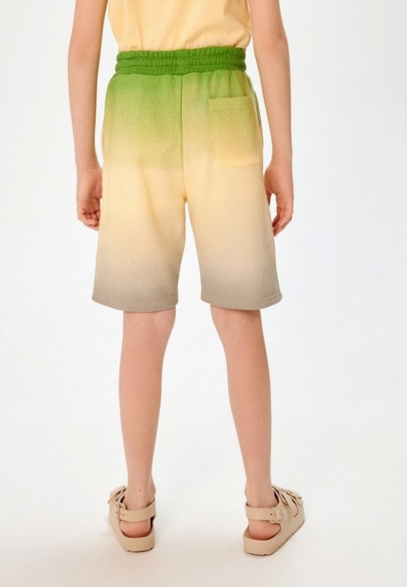 Шорты спортивные Acoola