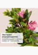 Спрей для фиксации макияжа Clarins8  - превью