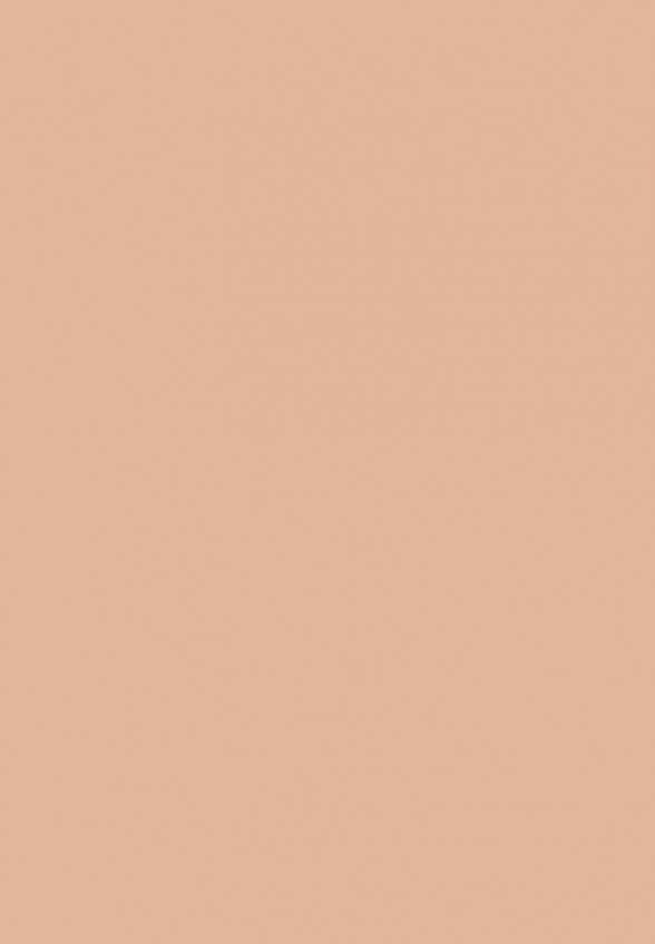 Консилер Influence Beauty