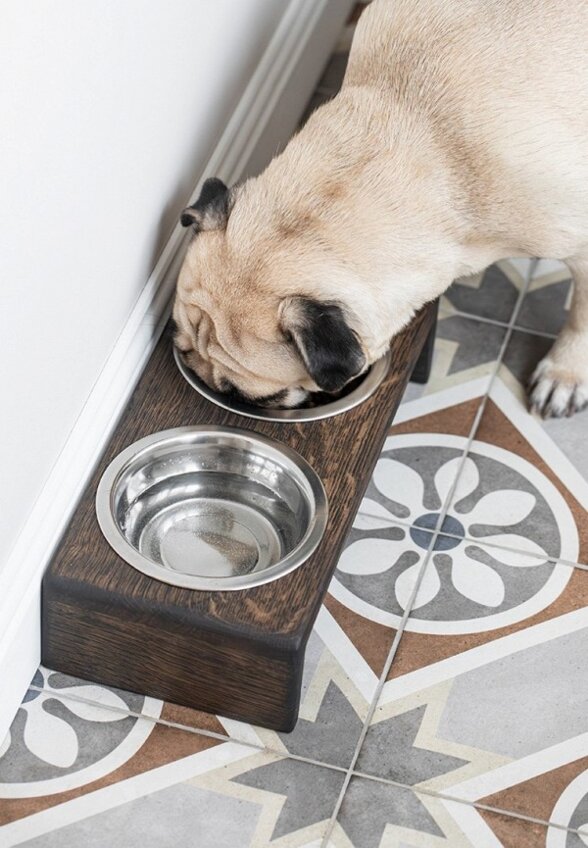 Миски 2 шт. Фоксвудрус