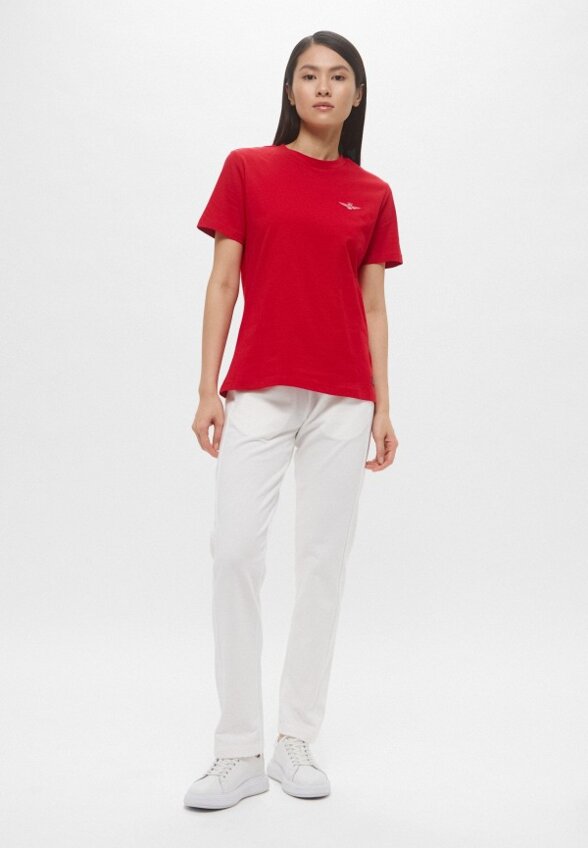 Футболка Aeronautica Militare