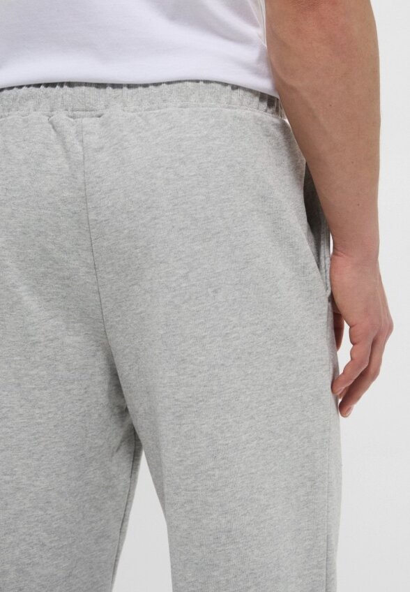 Брюки спортивные Zrn Man