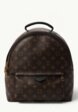 Louis Vuitton Palm Springs1  - превью