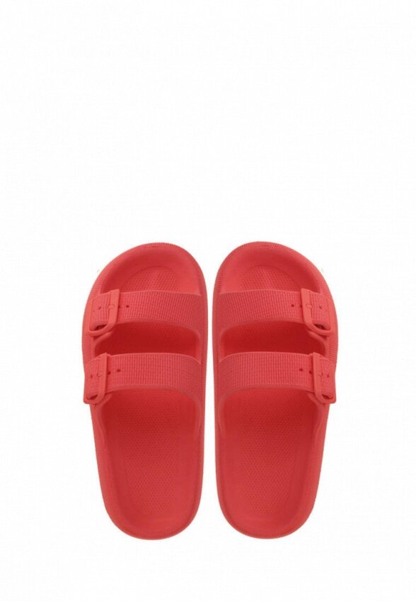 Сланцы De Fonseca