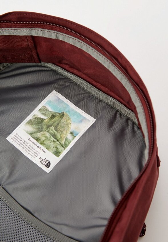 Рюкзак The North Face