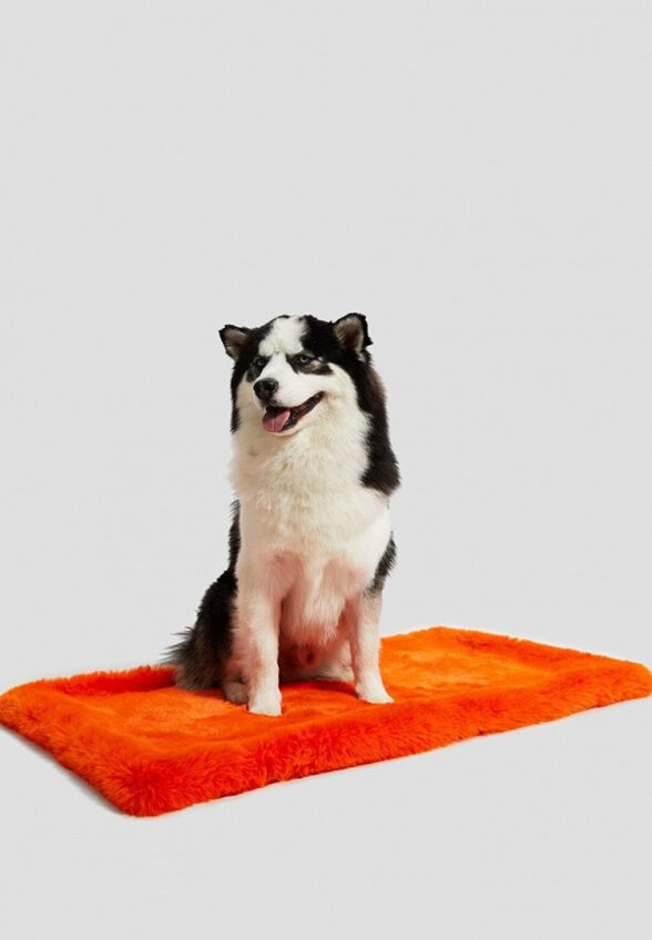 Лежак для животных Guess