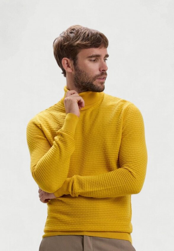 Водолазка Calliope