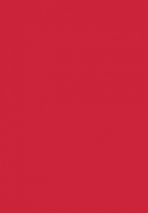 Помада Influence Beauty