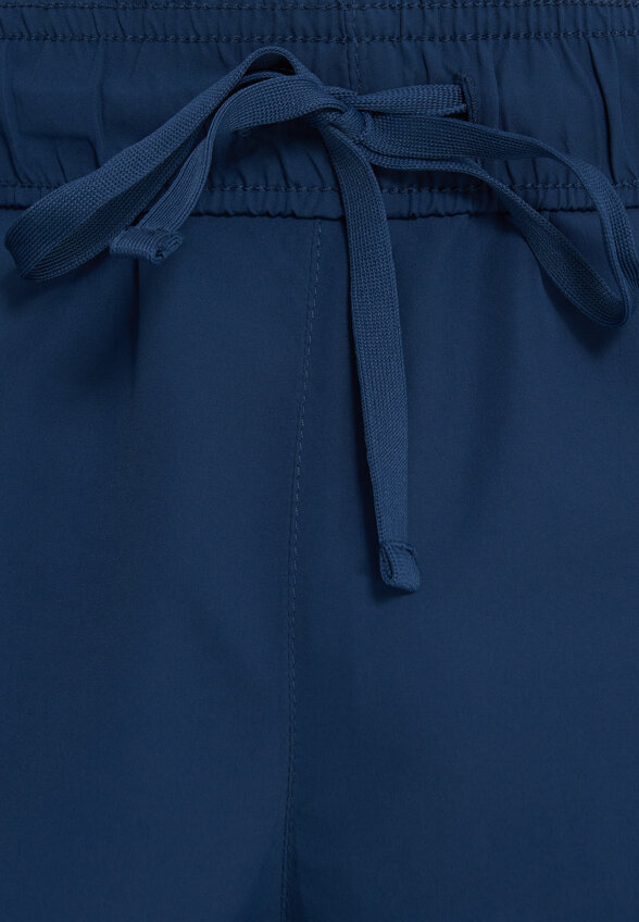 Брюки мужские Demix, Синий