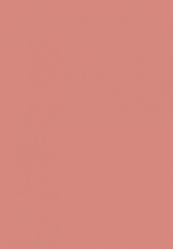 Помада жидкая Stellary