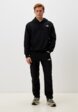 Брюки спортивные The North Face2  - превью