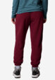 Брюки женские Columbia Sequoia Grove Fleece Pant, Красный3  - превью
