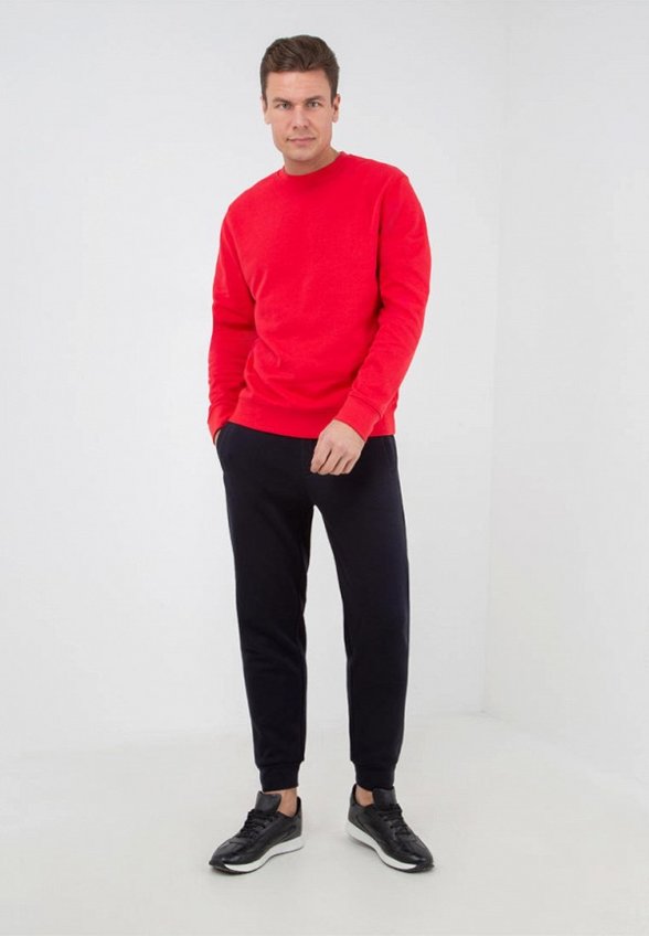 Брюки спортивные Thomas Berger