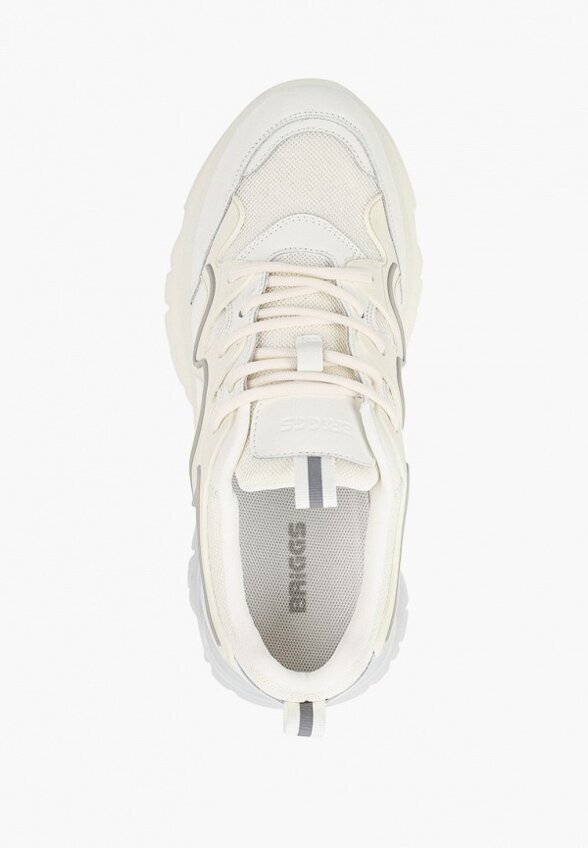 Кроссовки Briggs