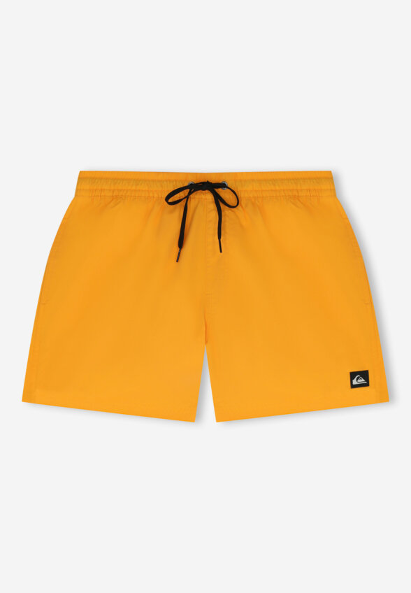 Шорты плавательные мужские Quiksilver Everyday Volley 15, Желтый