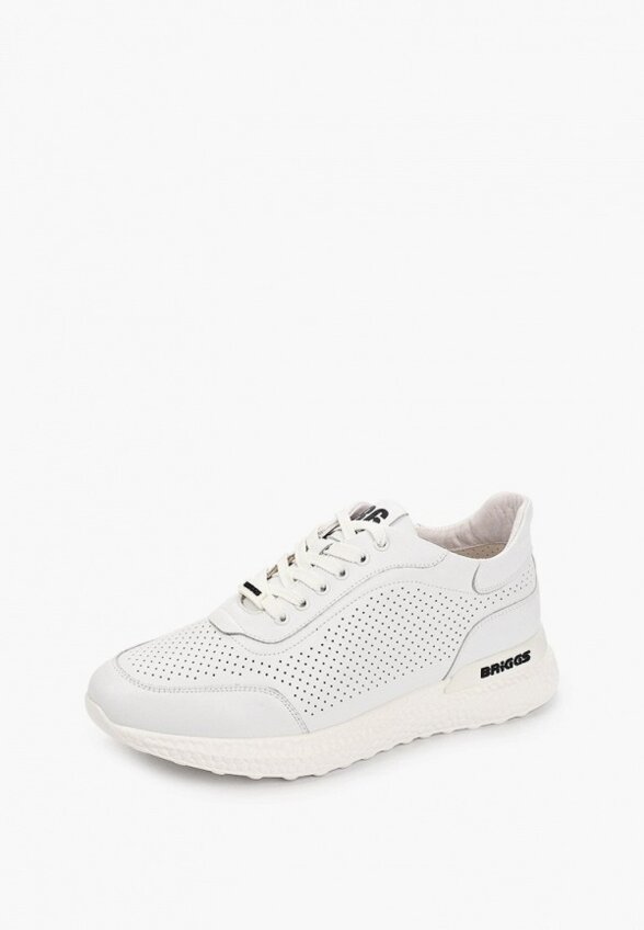 Кроссовки Briggs