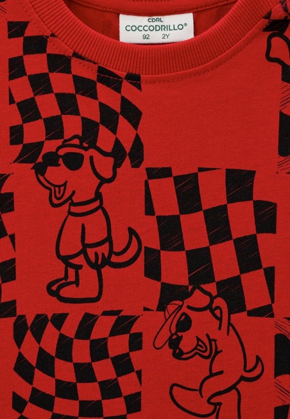 Футболка Coccodrillo