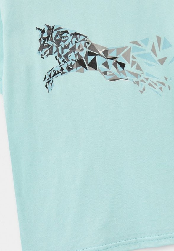 Футболка Blacksi