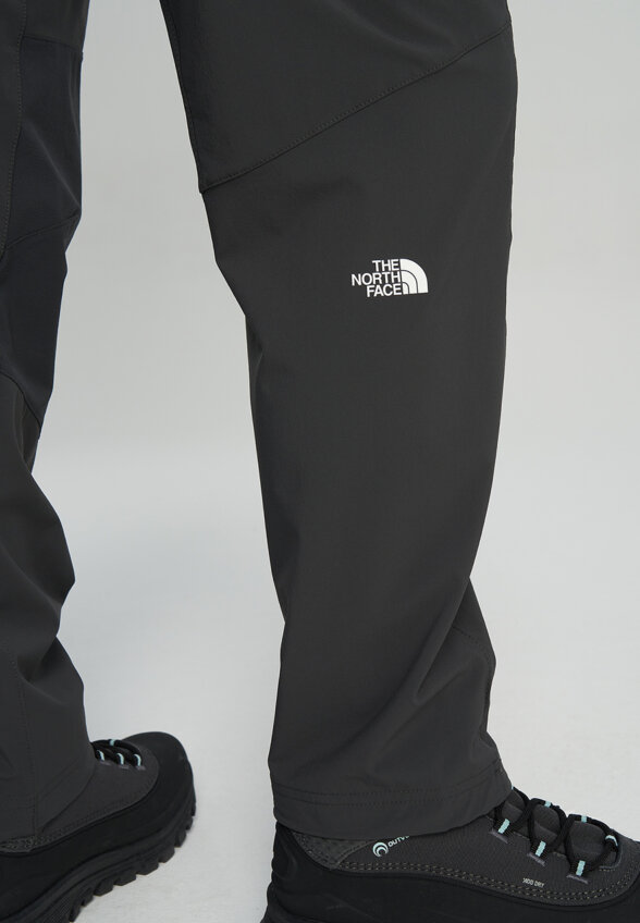 Брюки женские The North Face Speedlight Regular, Серый