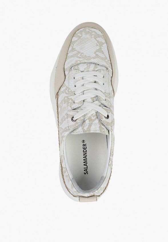 Кроссовки Salamander