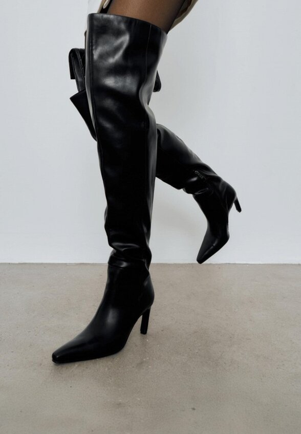 Ботфорты Wysh