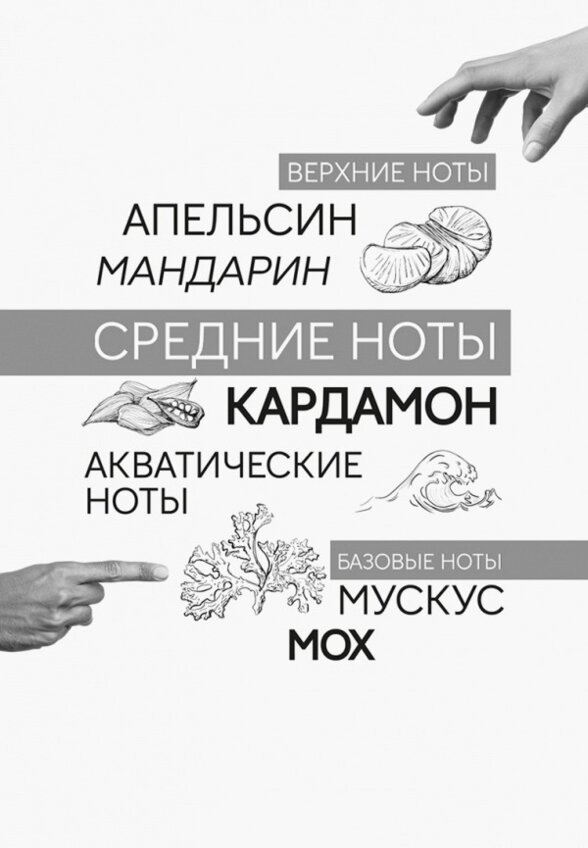 Парфюмерная вода Art&Nose