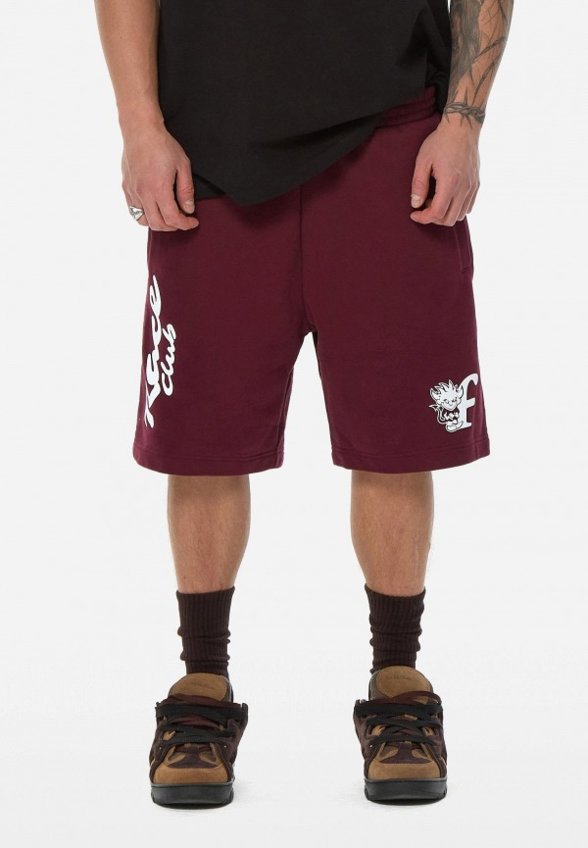 Шорты спортивные Frht