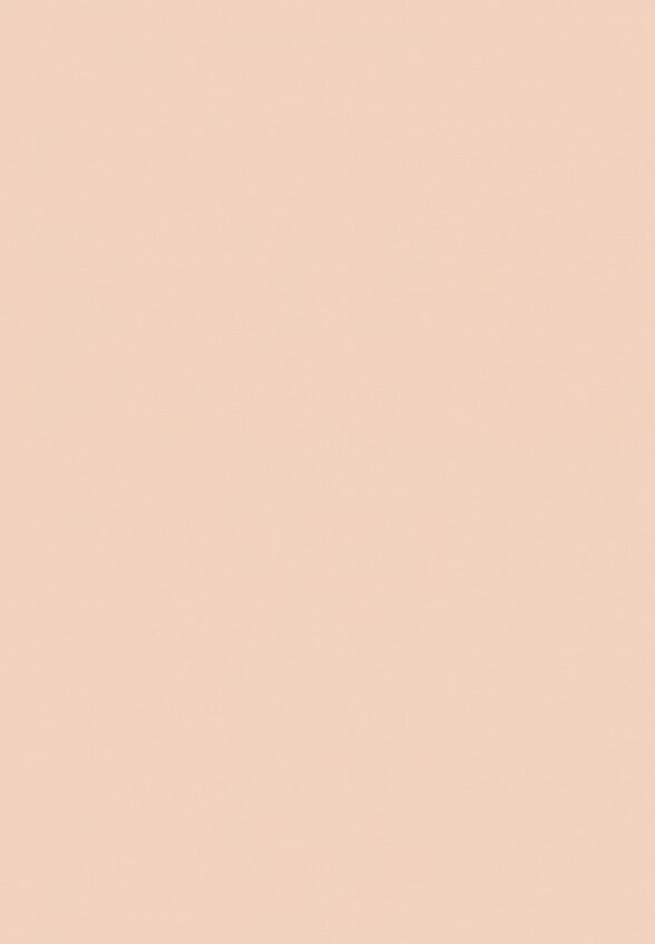 Пудра компактная Zeesea