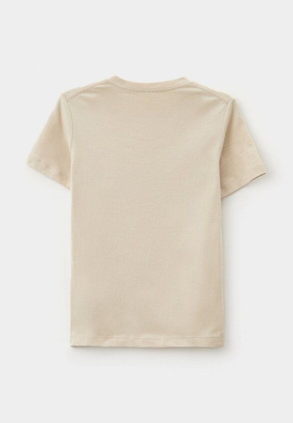 Футболки 2 шт. Calvin Klein Jeans