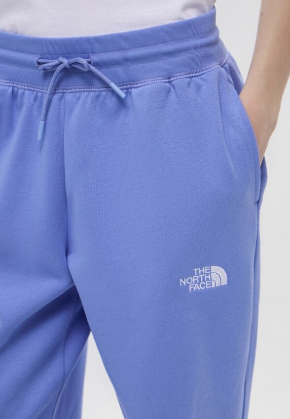 Брюки спортивные The North Face