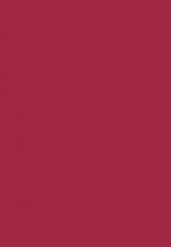 Помада жидкая Arive Makeup