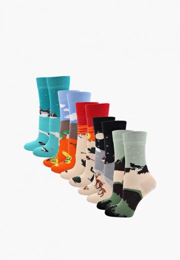 Носки 5 пар bb socks