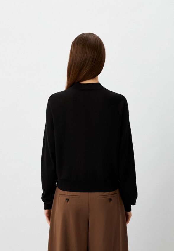 Джемпер Theory