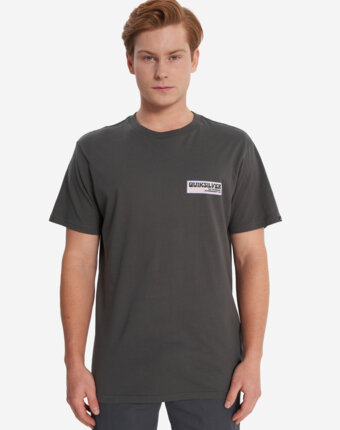 Футболка мужская Quiksilver Palm Square, Серый женщинам