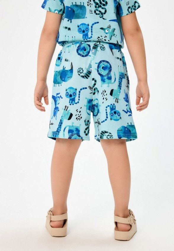 Шорты спортивные Acoola