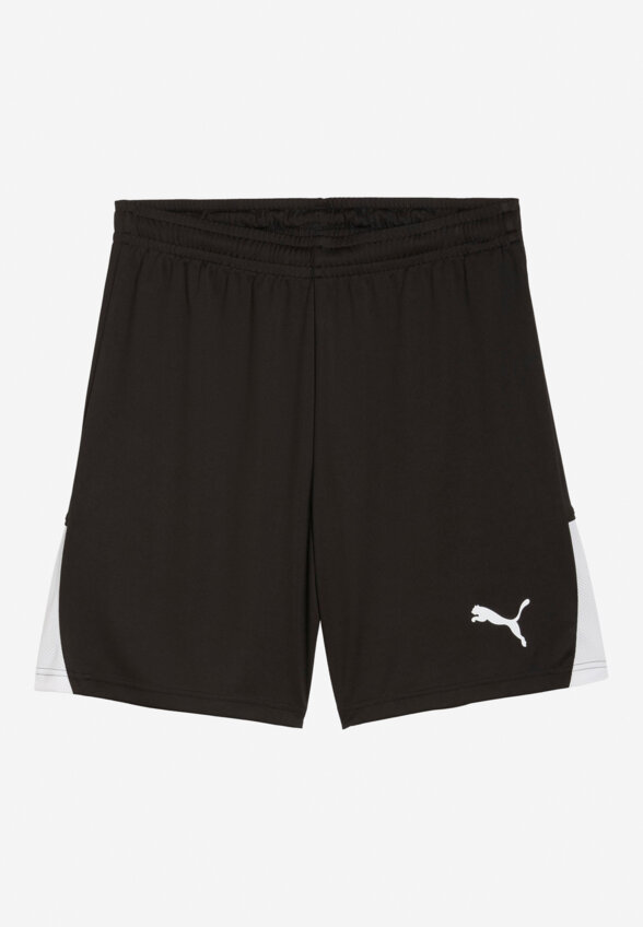 Шорты мужские PUMA Teamliga26, Черный