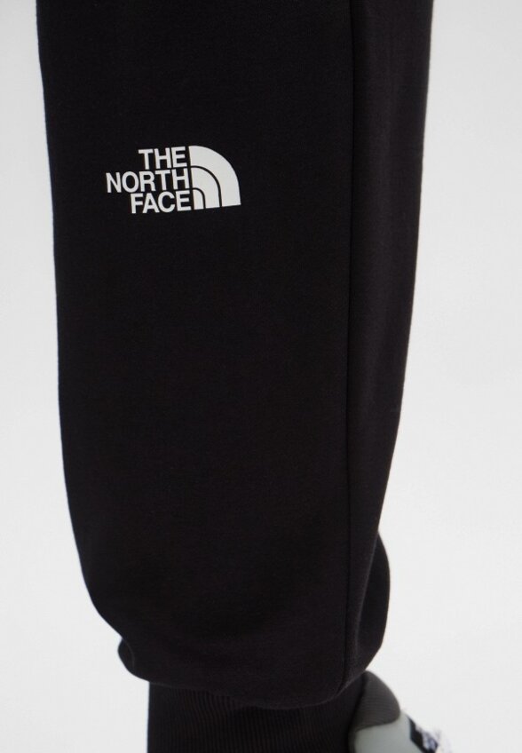 Брюки спортивные The North Face