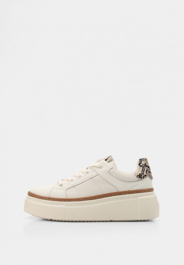 Кеды Pierre Cardin