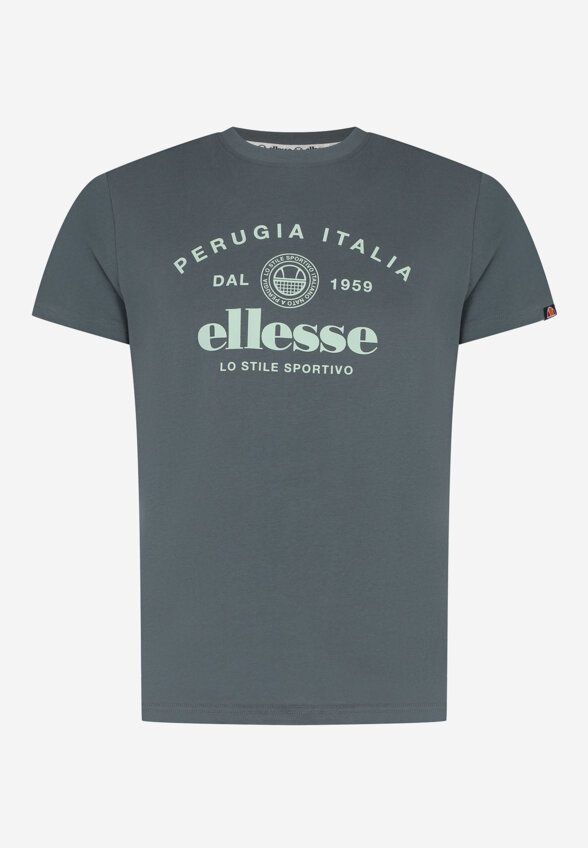 Футболка мужская Ellesse, Серый