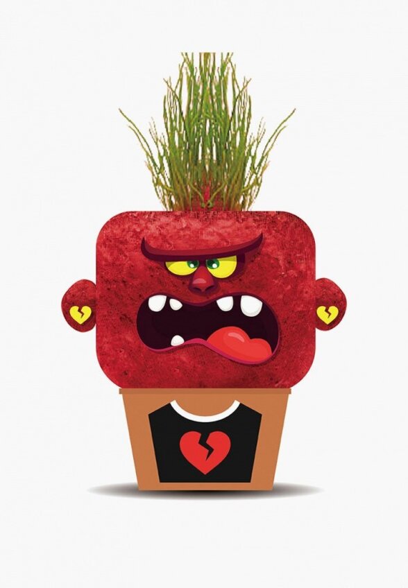 Набор игровой Hape