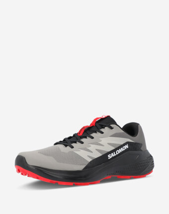 Кроссовки мужские Salomon Alphaglide, Серый женщинам