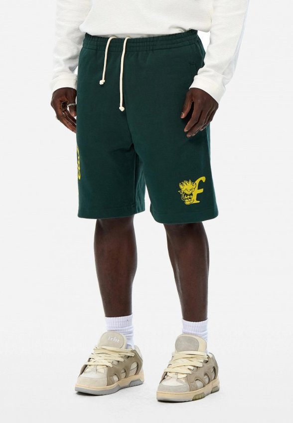 Шорты спортивные Frht