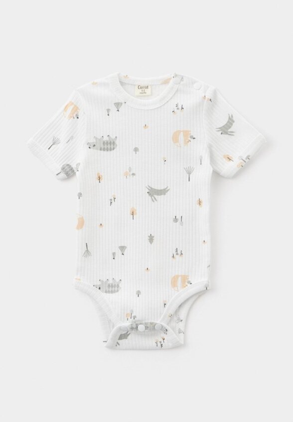 Боди 3 шт. Carrot