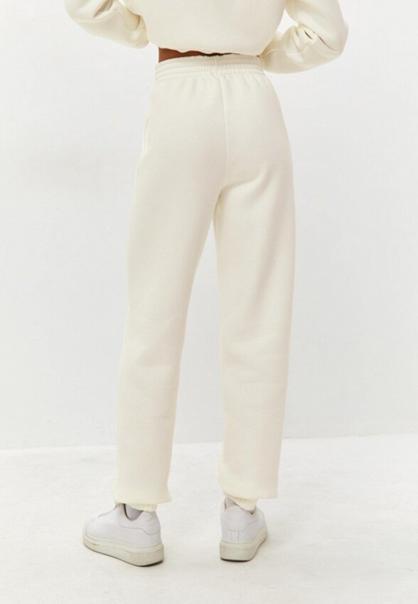 Брюки спортивные RebelPro