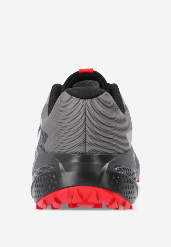 Кроссовки мужские Salomon Alphaglide, Серый