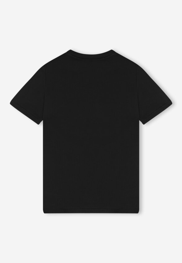Футболка для мальчиков PUMA Ess 2 Color No.1 Logo, Черный