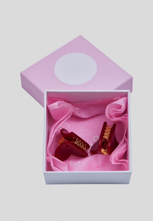 Заколки 2 шт. Assoro