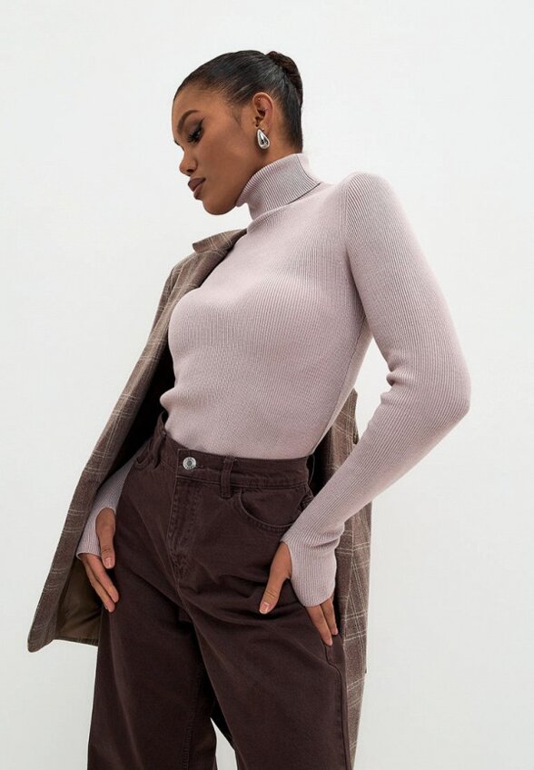 Водолазка Diana Delma