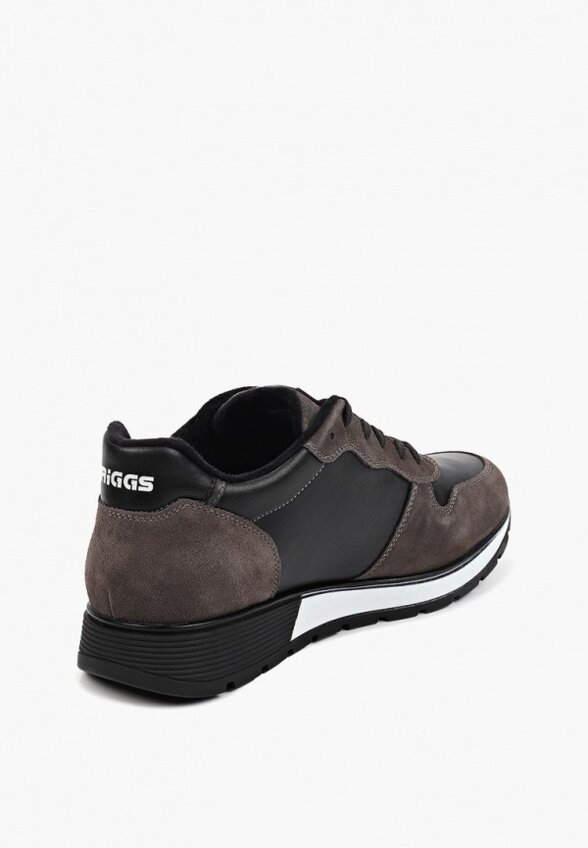 Кроссовки Briggs